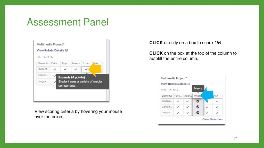 assessment panel