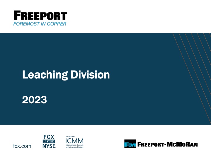 leaching division leaching division