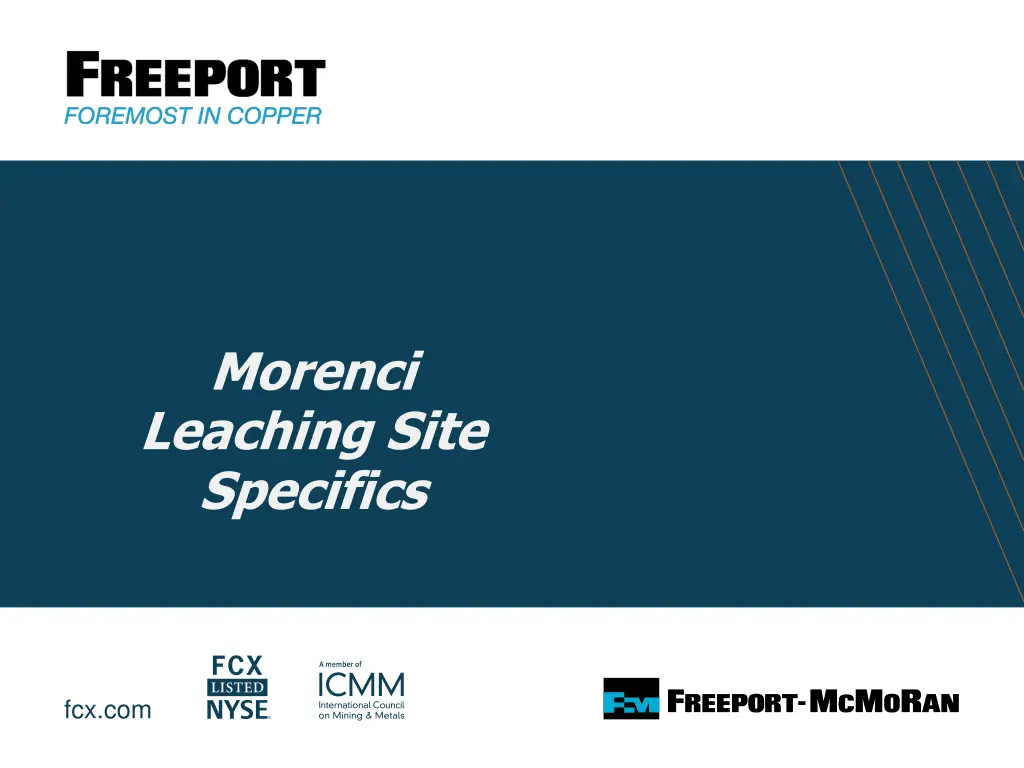 morenci leaching site specifics