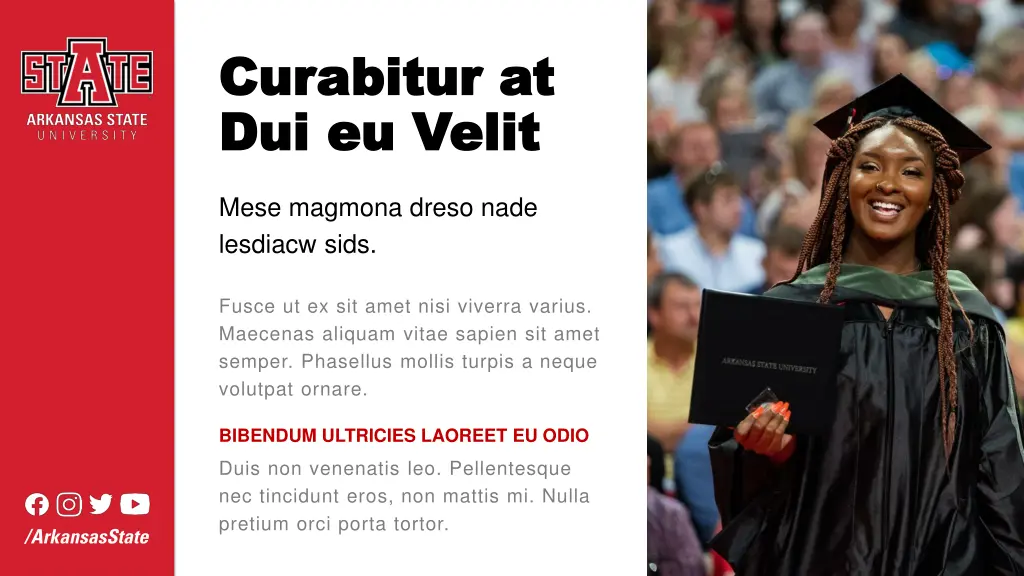 curabitur curabitur at dui dui eu eu velit