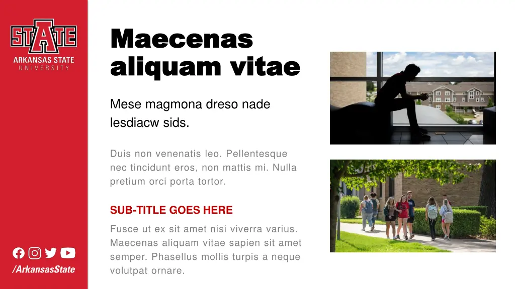 maecenas maecenas aliquam aliquam vitae