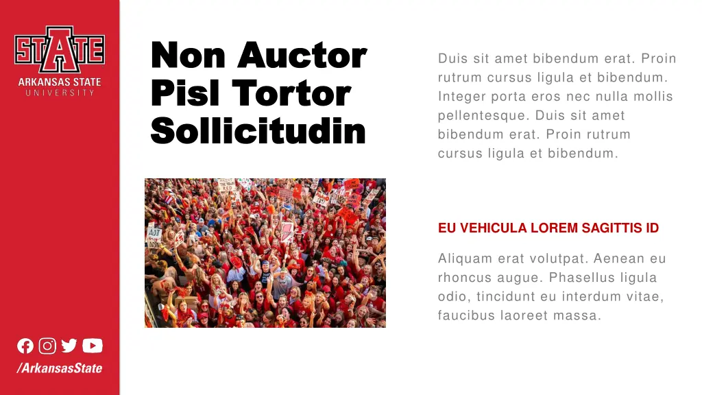 non auctor non auctor pisl pisl tortor tortor