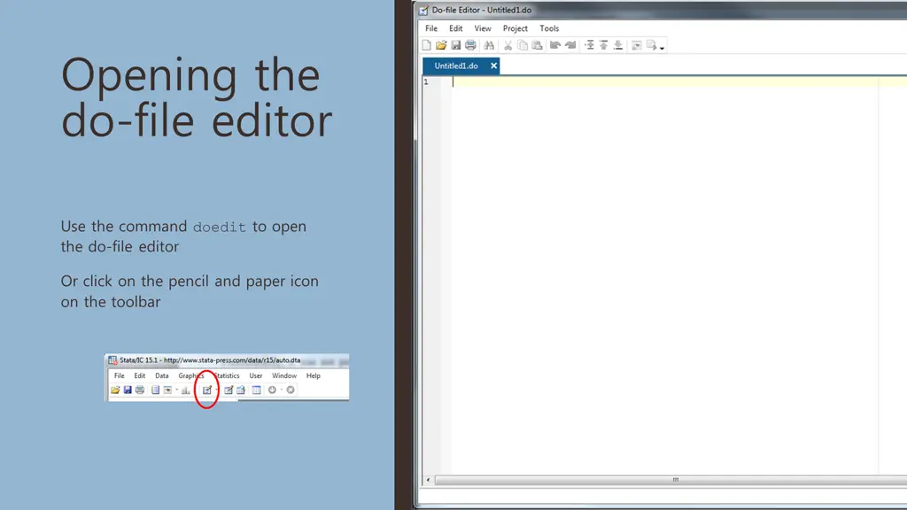 opening the do file editor