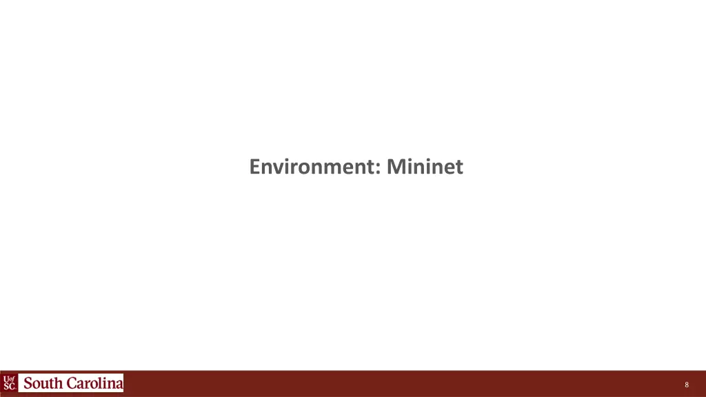 environment mininet