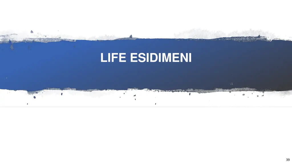 life esidimeni