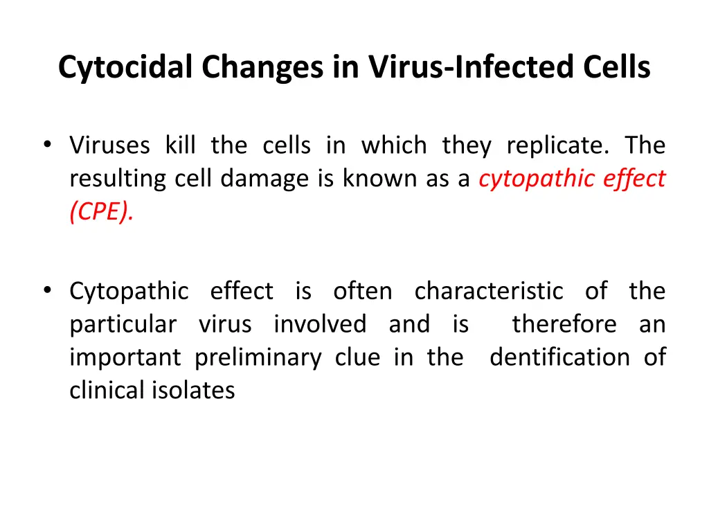 cytocidal changes in virus infected cells