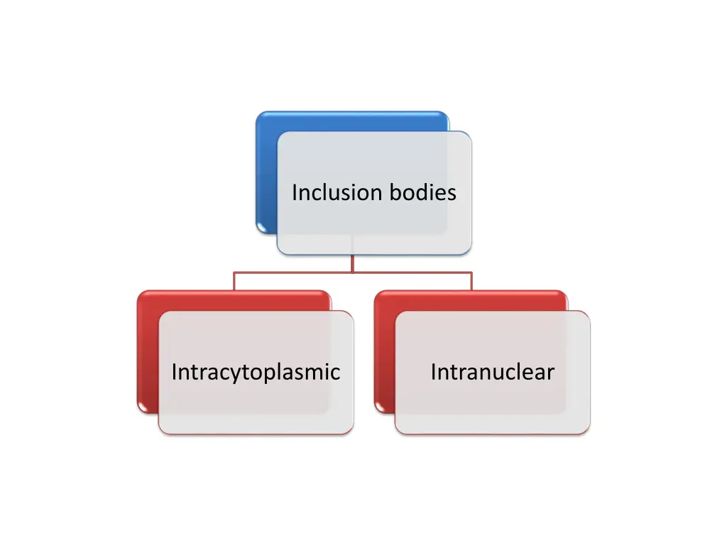 inclusion bodies 1