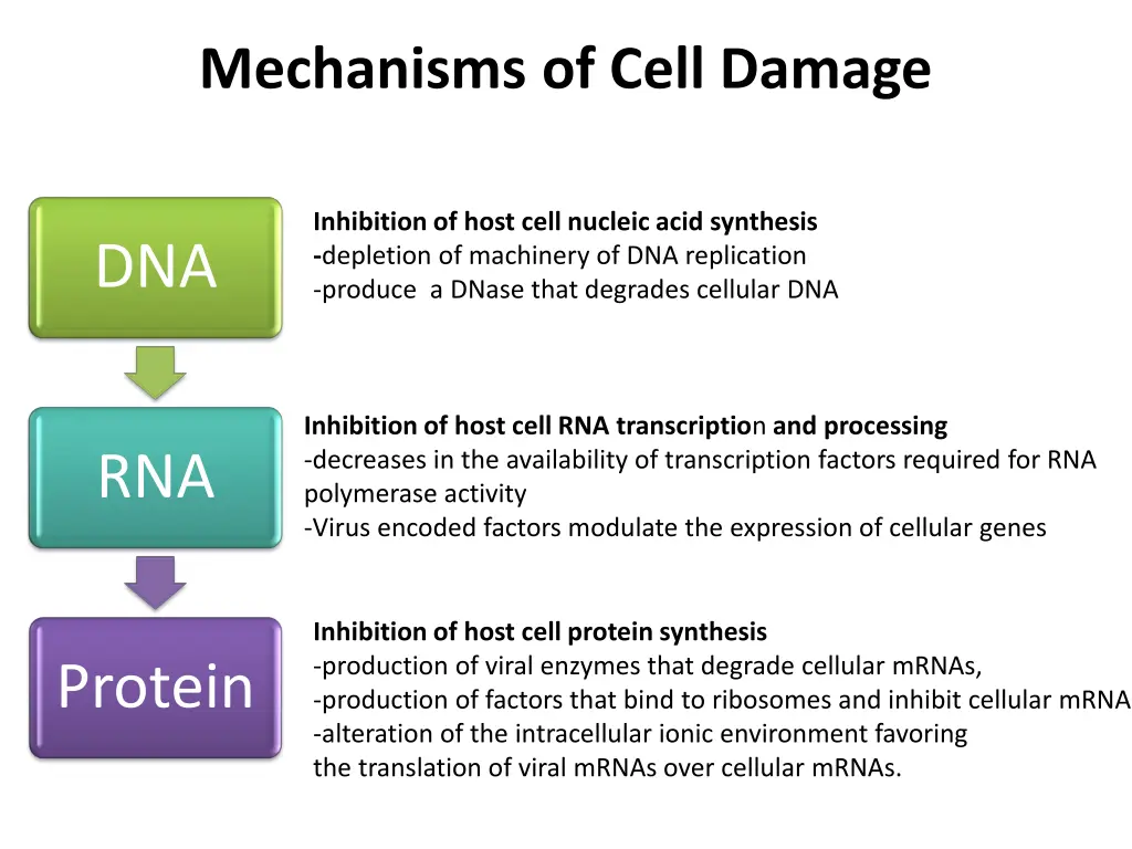 mechanisms of cell damage