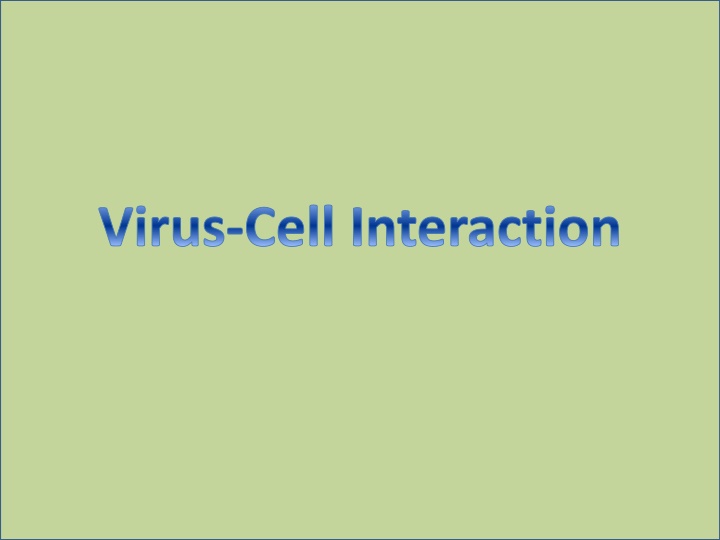 virus cell interaction