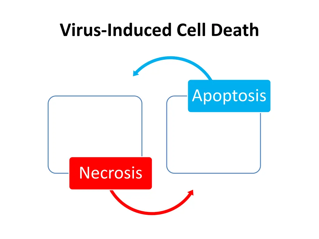 virus induced cell death