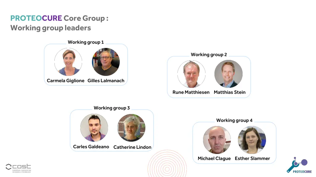 proteocurecore group working group leaders