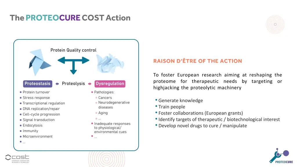 theproteocure cost action