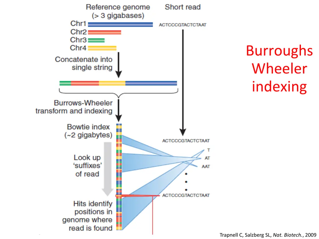 burroughs wheeler indexing