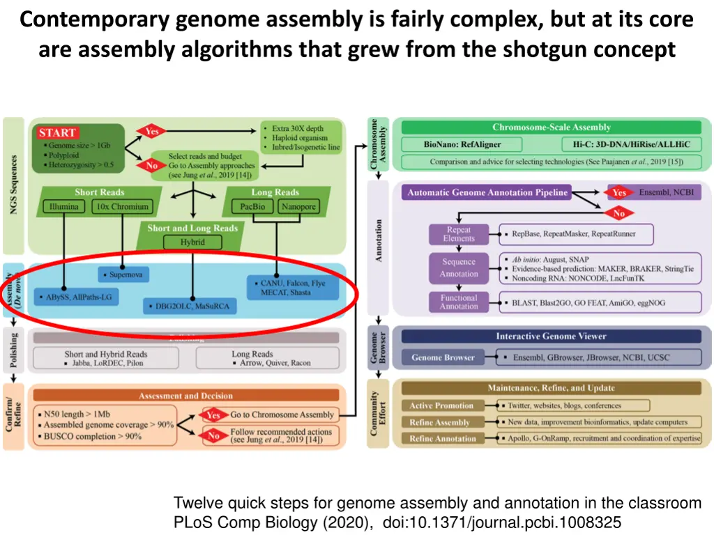 contemporary genome assembly is fairly complex