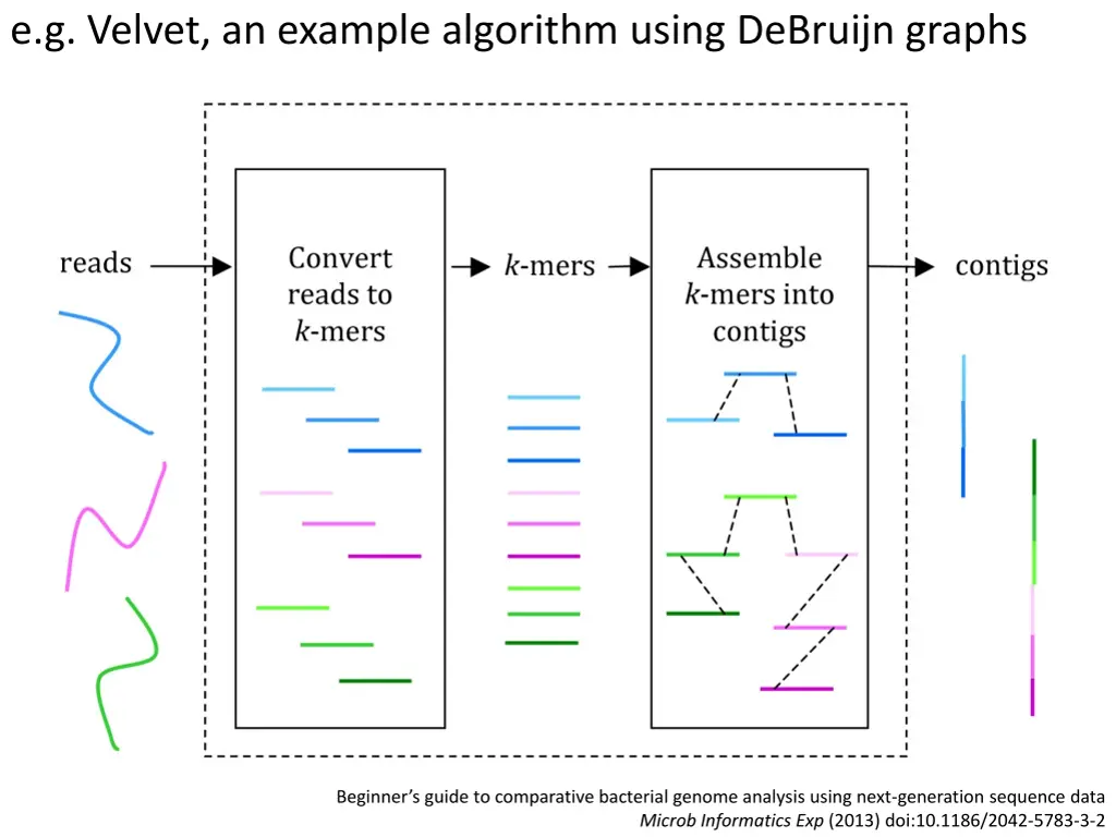 e g velvet an example algorithm using debruijn