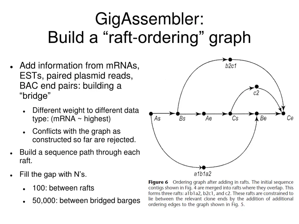 gigassembler build a raft ordering graph 1