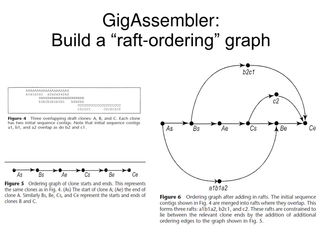 gigassembler build a raft ordering graph