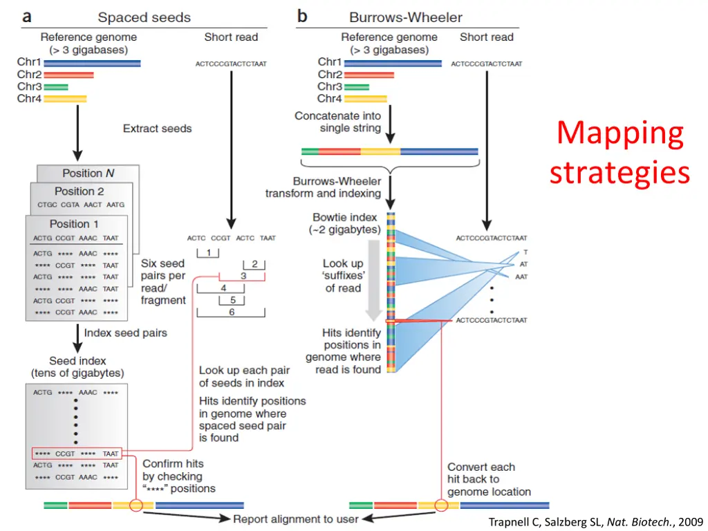 mapping strategies