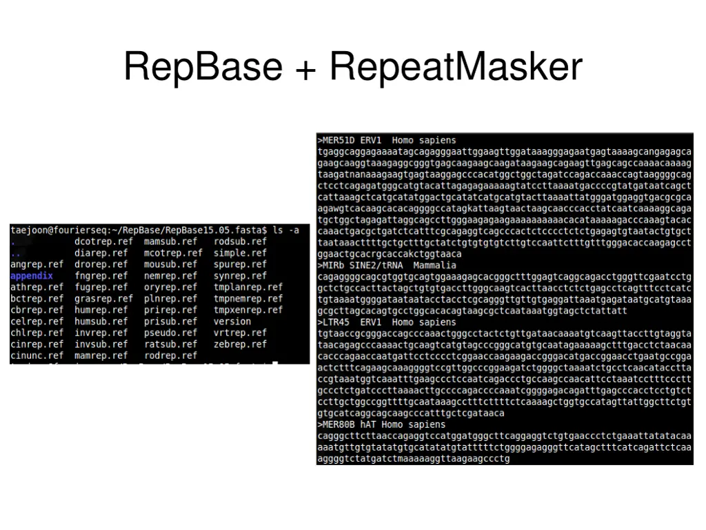 repbase repeatmasker