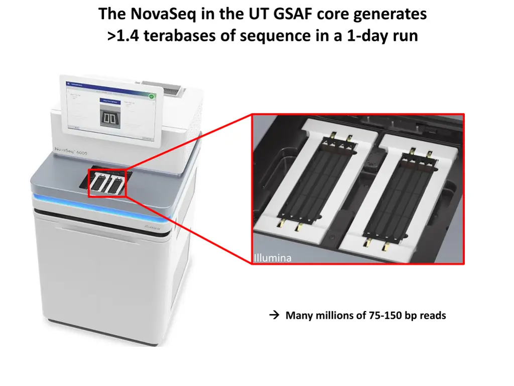 the novaseq in the ut gsaf core generates