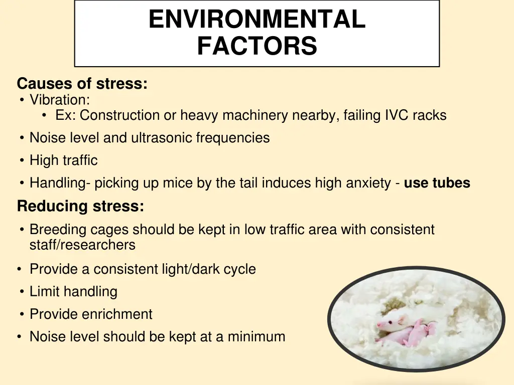 environmental factors