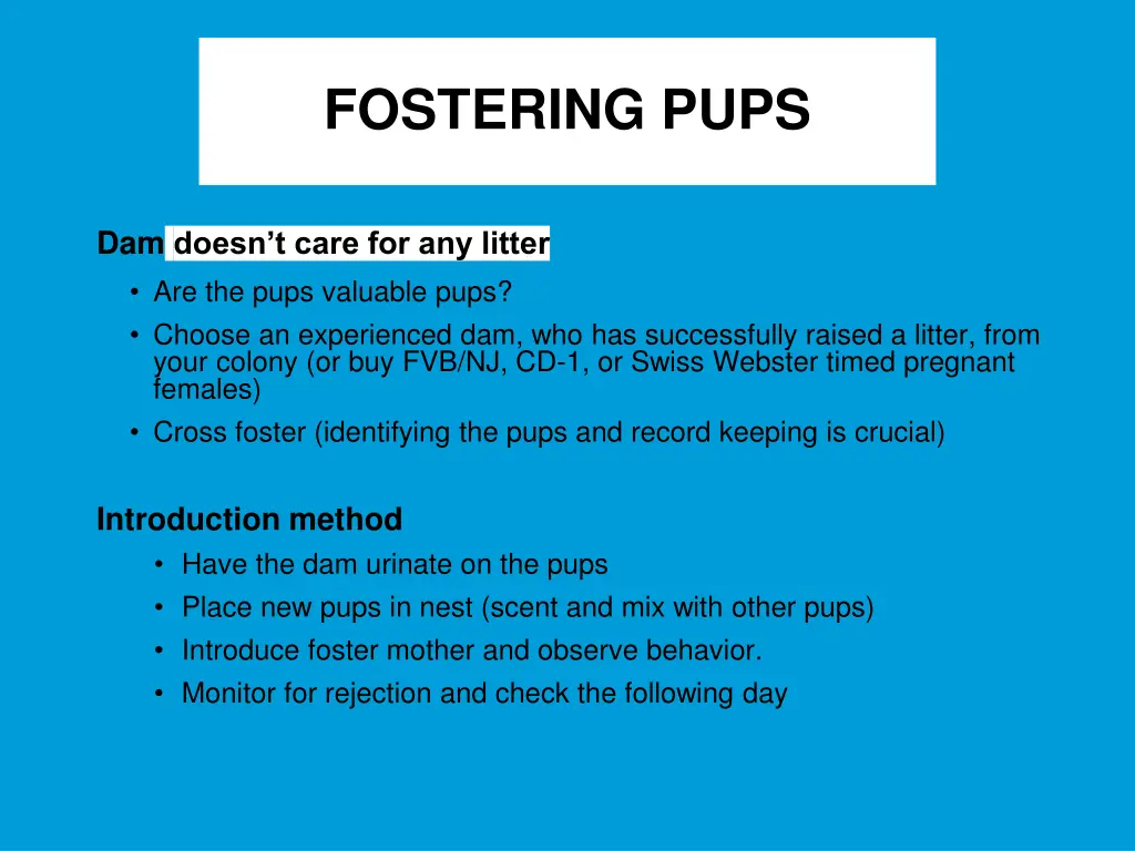 fostering pups