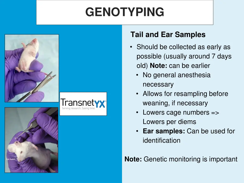 genotyping