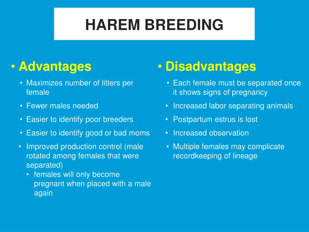 harem breeding 1