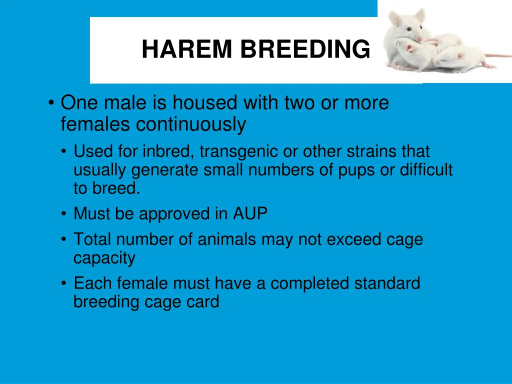 harem breeding