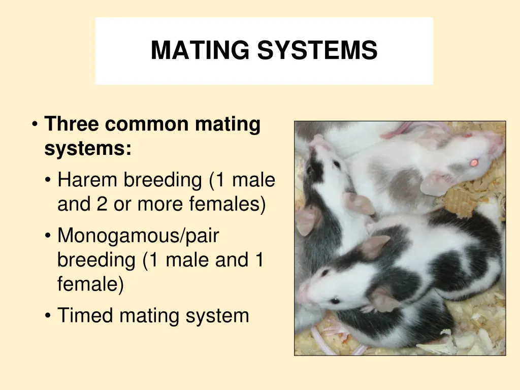 mating systems