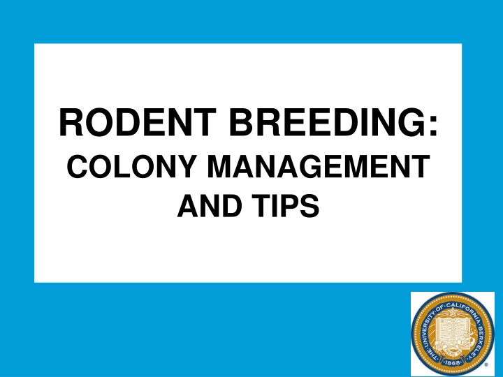 rodent breeding colony management and tips