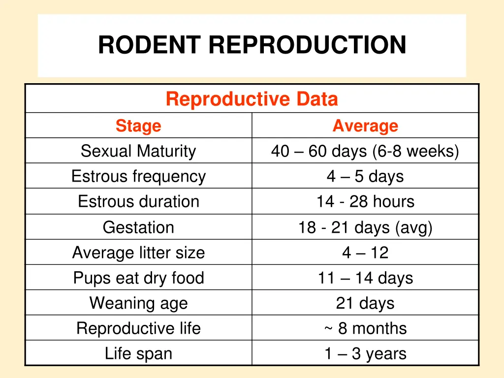 rodent reproduction