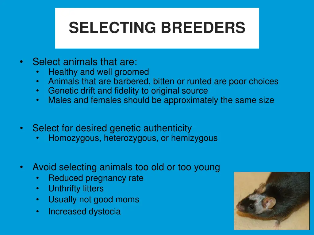 selecting breeders