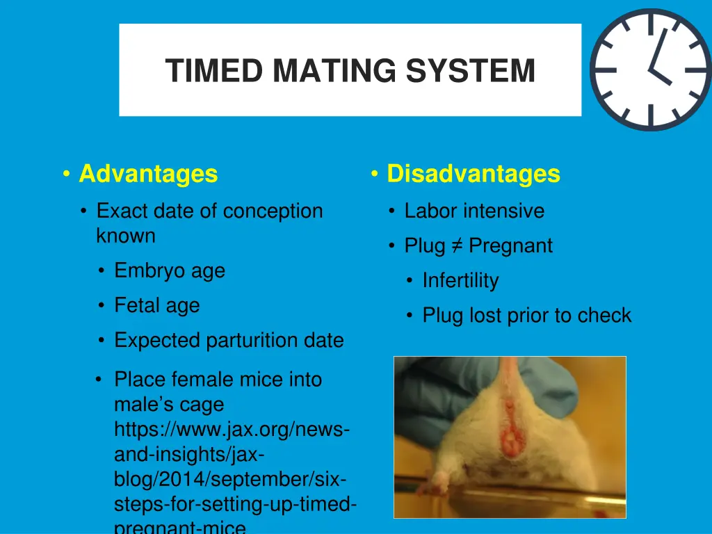 timed mating system 1