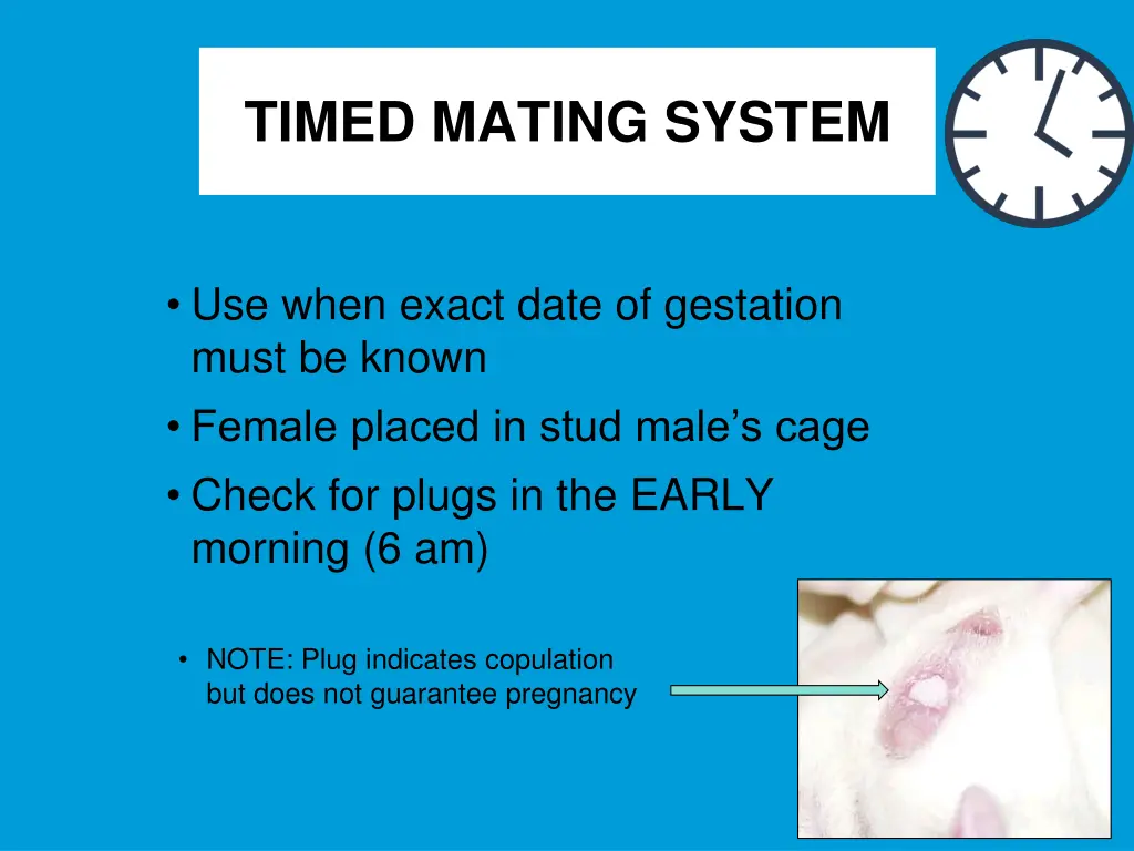 timed mating system