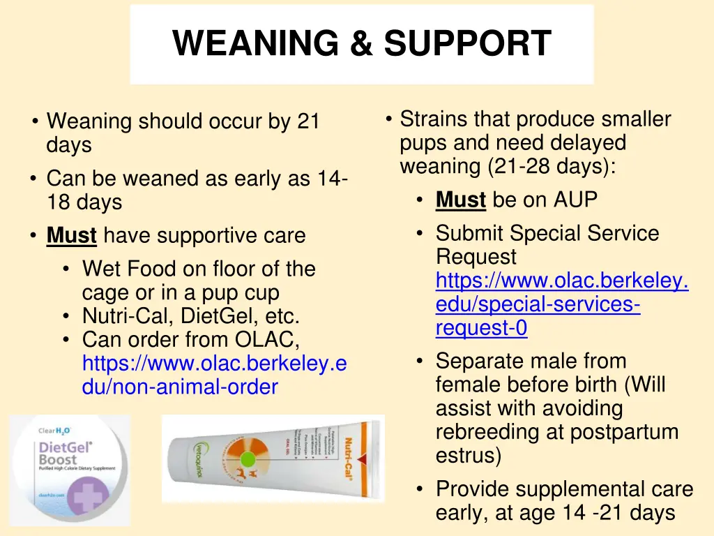 weaning support