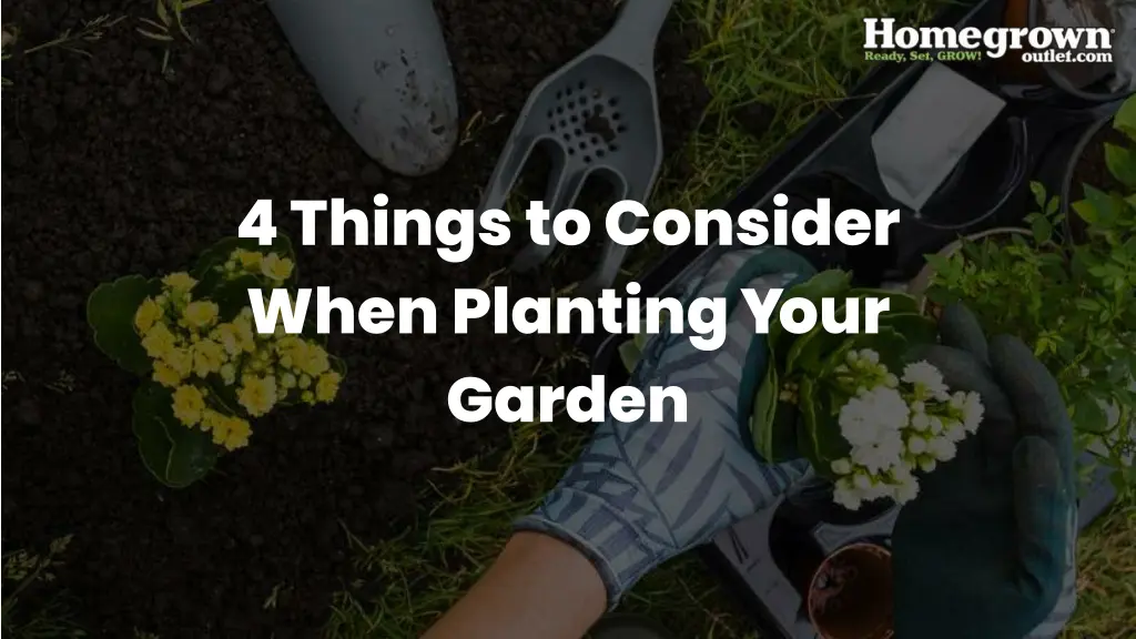 4 things to consider when planting your garden