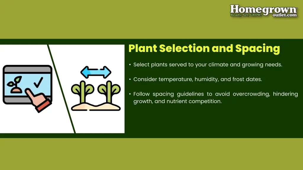 plant selection and spacing