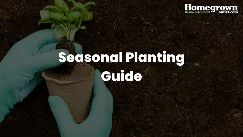 seasonal planting guide