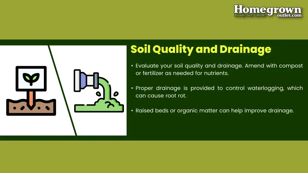 soil quality and drainage