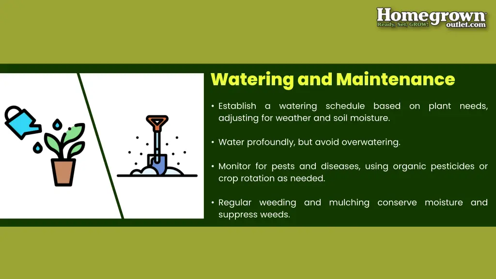 watering and maintenance