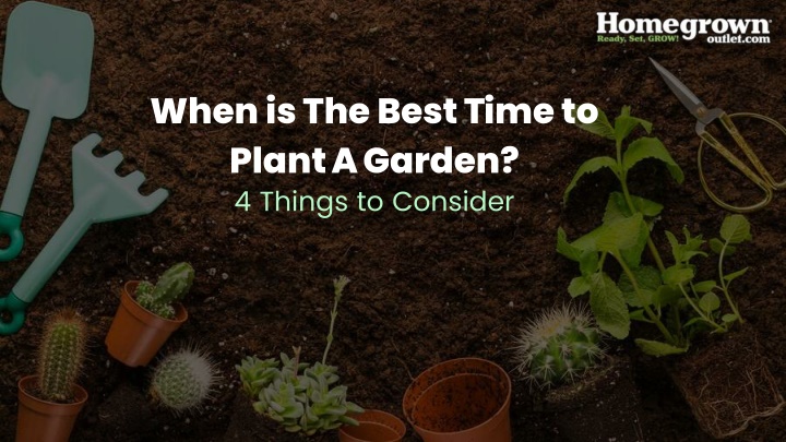 when is the best time to plant a garden 4 things