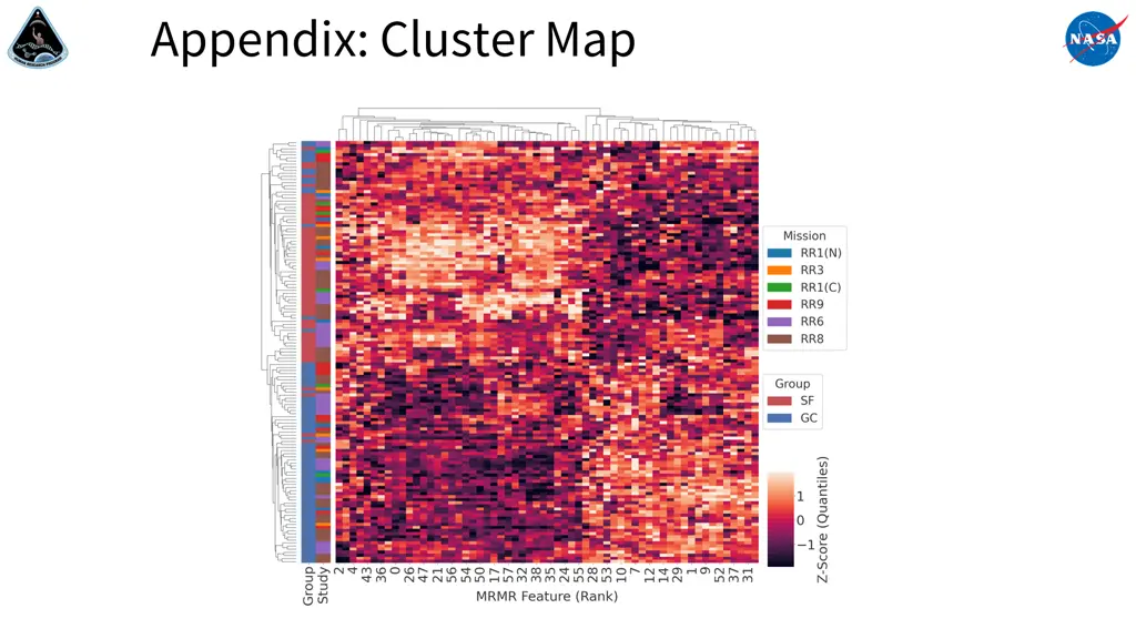 appendix cluster map