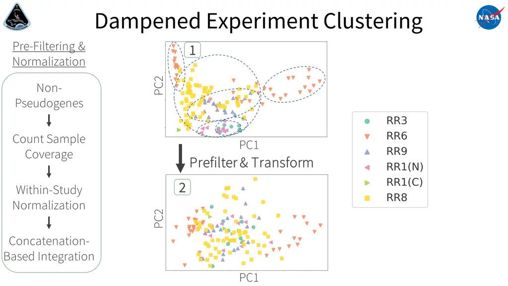 dampened experiment clustering 1