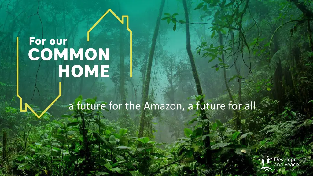 a future for the amazon a future for all