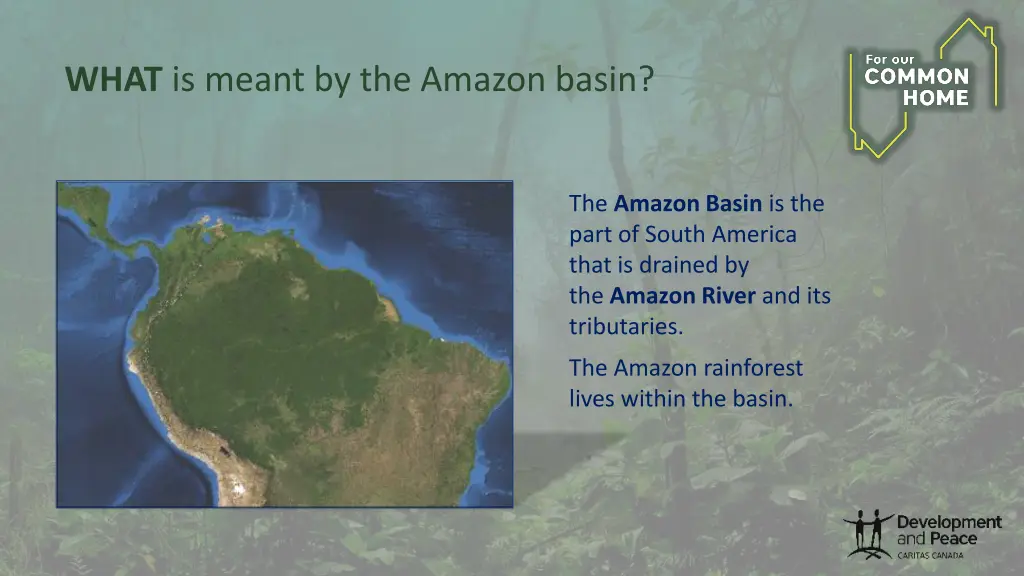 what is meant by the amazon basin