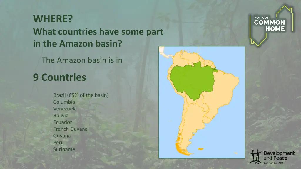 where what countries have some part in the amazon