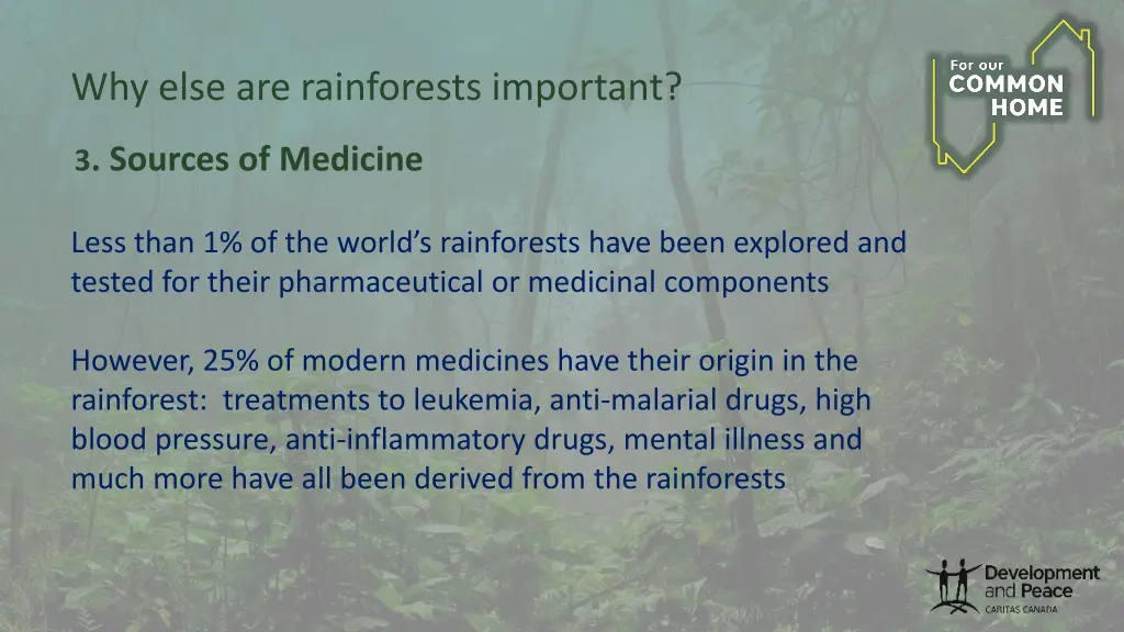 why else are rainforests important 1