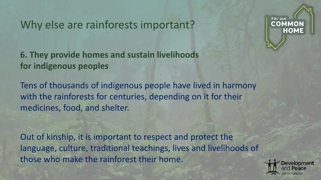 why else are rainforests important 4