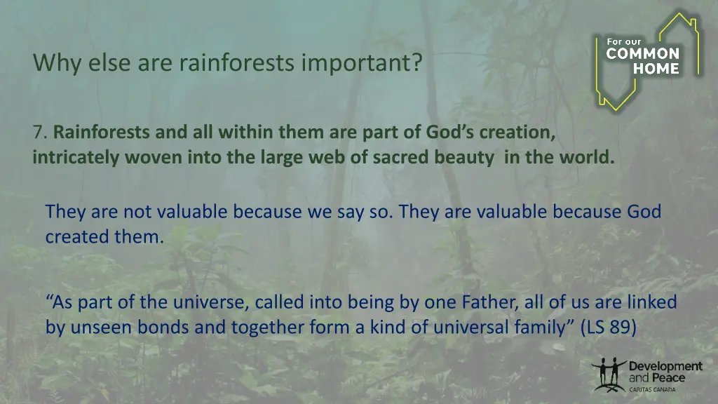 why else are rainforests important 5